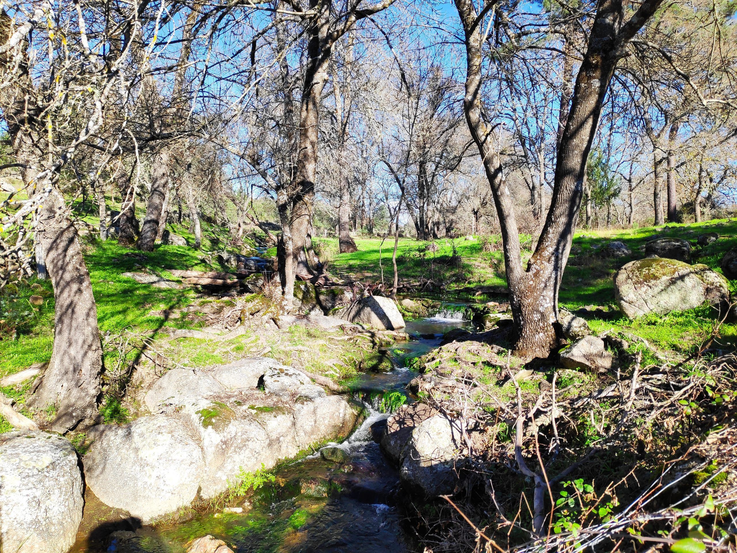 La Joya